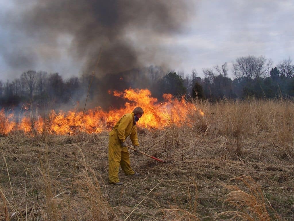 Controlled Burn at Cottingham Farm