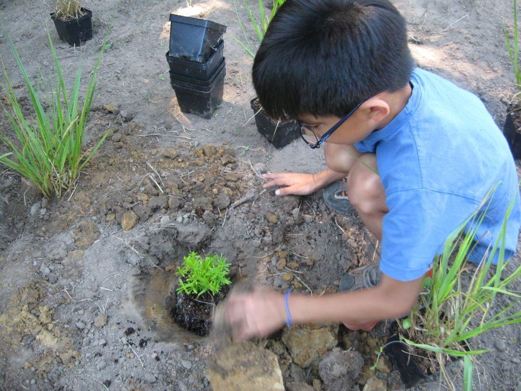 Children helping to build a rain garden