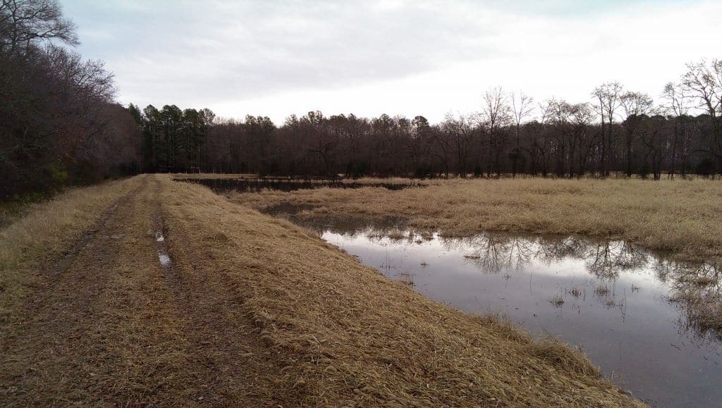 Ingersoll wetland beginning to fill up