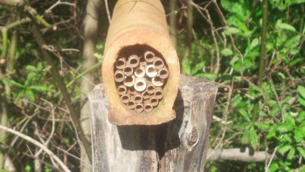 tube on wood image (3)
