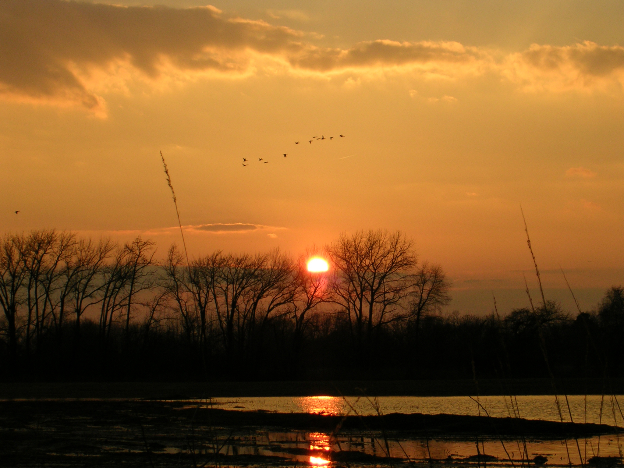 Mission Chesapeake Wildlife Heritage